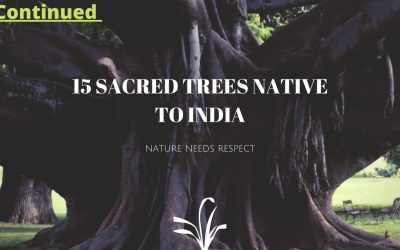 15 Sacred Trees Native to India- Continued..