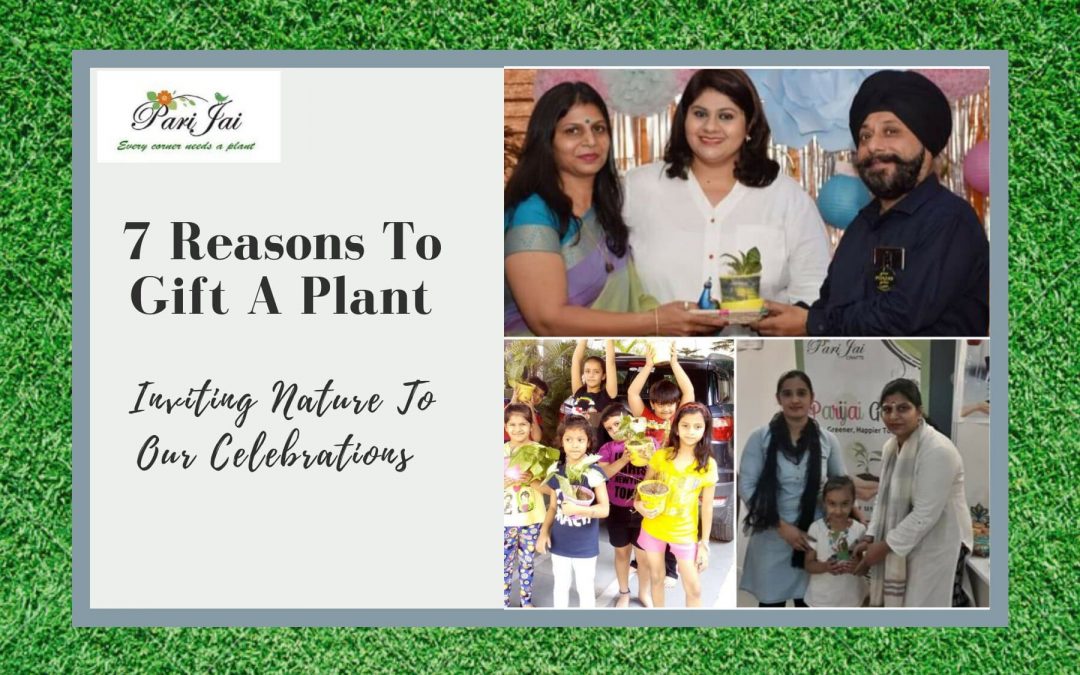 7 Reasons To Gift A Plant- Inviting Nature In Our Celebrations