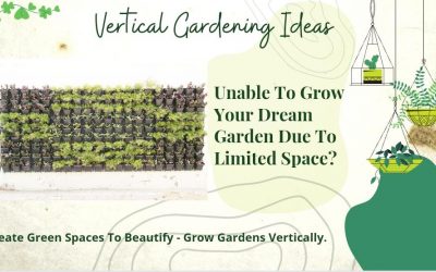 Spread Greenery To Your Small Spaces- Install A Vertical garden 