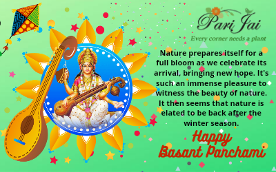 Basant Panchami- The Festival Of Nature
