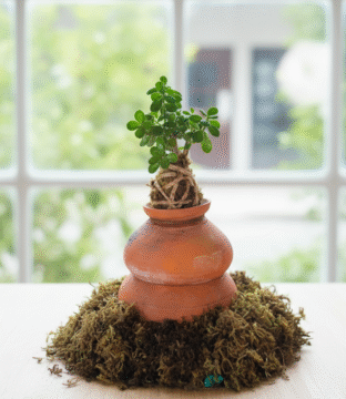 Jade