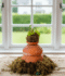 Money Plant